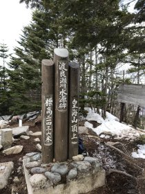 写真 2019-04-29 9 33